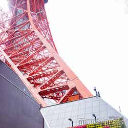 開業60周年の東京タワー（C）モデルプレス