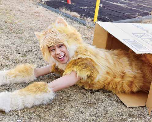 キスマイ北山宏光、お茶目な猫に 衣装のこだわりぶり明らかに<トラさん~僕が猫になったワケ~>