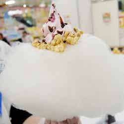 わたあめアイス/画像提供:アイスクリーム博覧会2017PR事務局