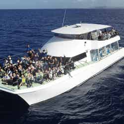 小船でホエールウォッチングツアーへ/提供:トータルマリンスポットNEWS