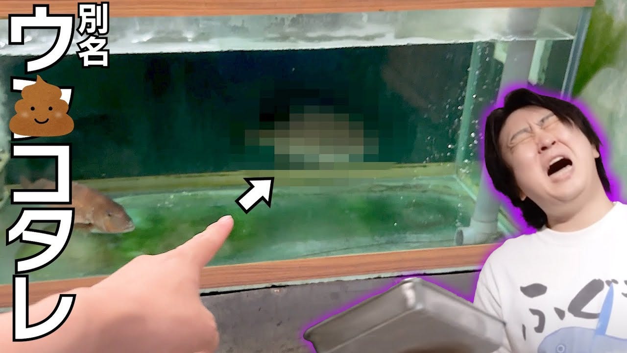 臭すぎる！？きまぐれクックが過去イチで臭かった魚が登場