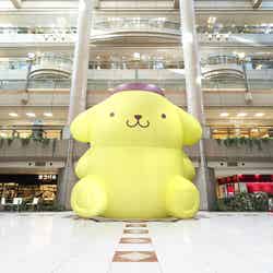 (C)2026 SANRIO CO., LTD. 著作 株式会社サンリオ