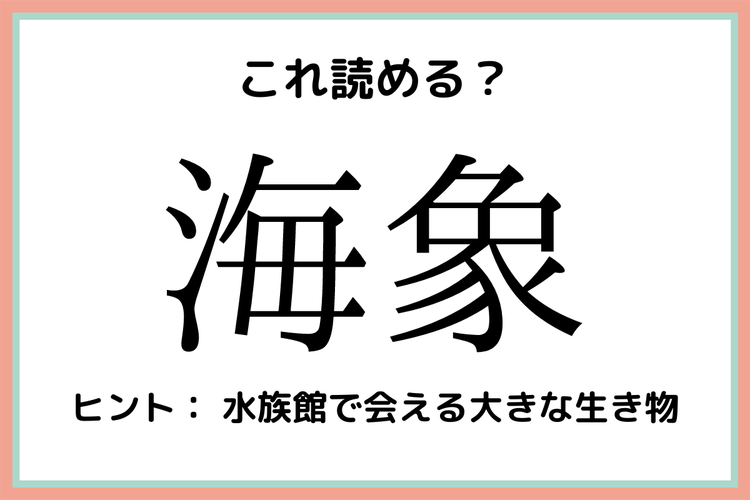 海象 ってどう読む 意外と知らない水中生物の難読漢字4つ モデルプレス 海象 ってどう読む 意外と知らない水中生物の難読漢字4つ モデルプレス