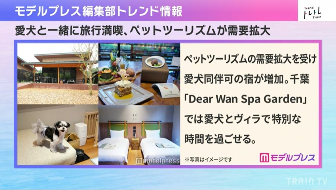 画像提供／TRAIN TV