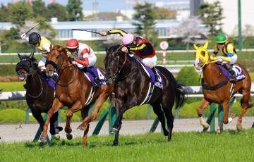 大阪杯を制したクロワデュノールが4位タイに浮上 ワールドベストレースホースランキング