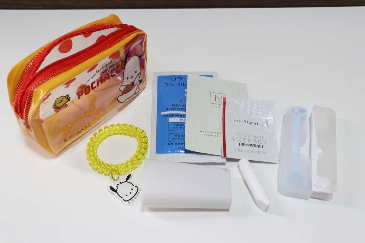 マチ付きポーチ　収納例