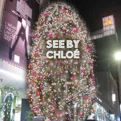 「SEE BY CHLOE」コラボレーションツリー
