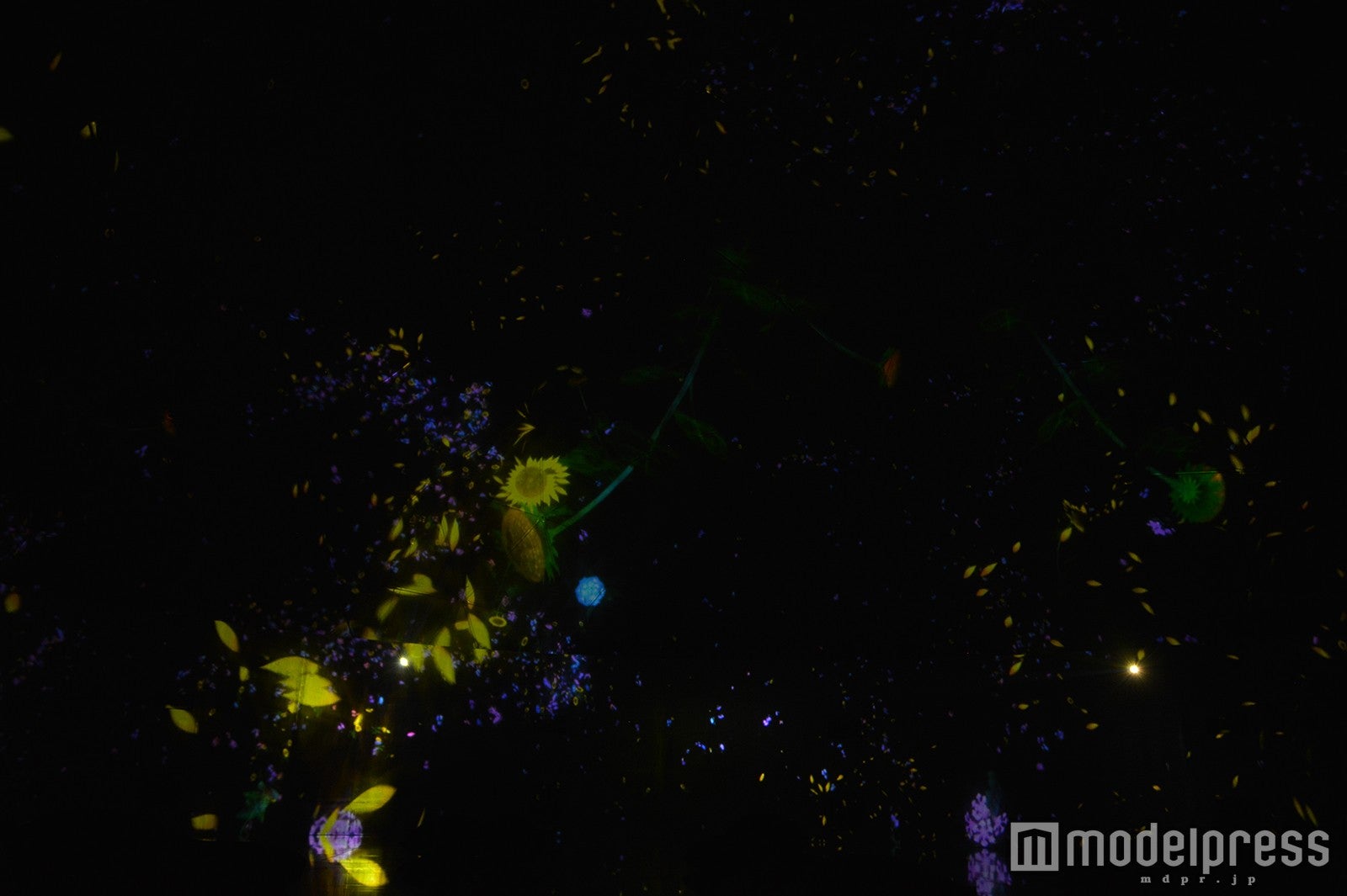 DMM.プラネッツ Art by team Lab（C）モデルプレス