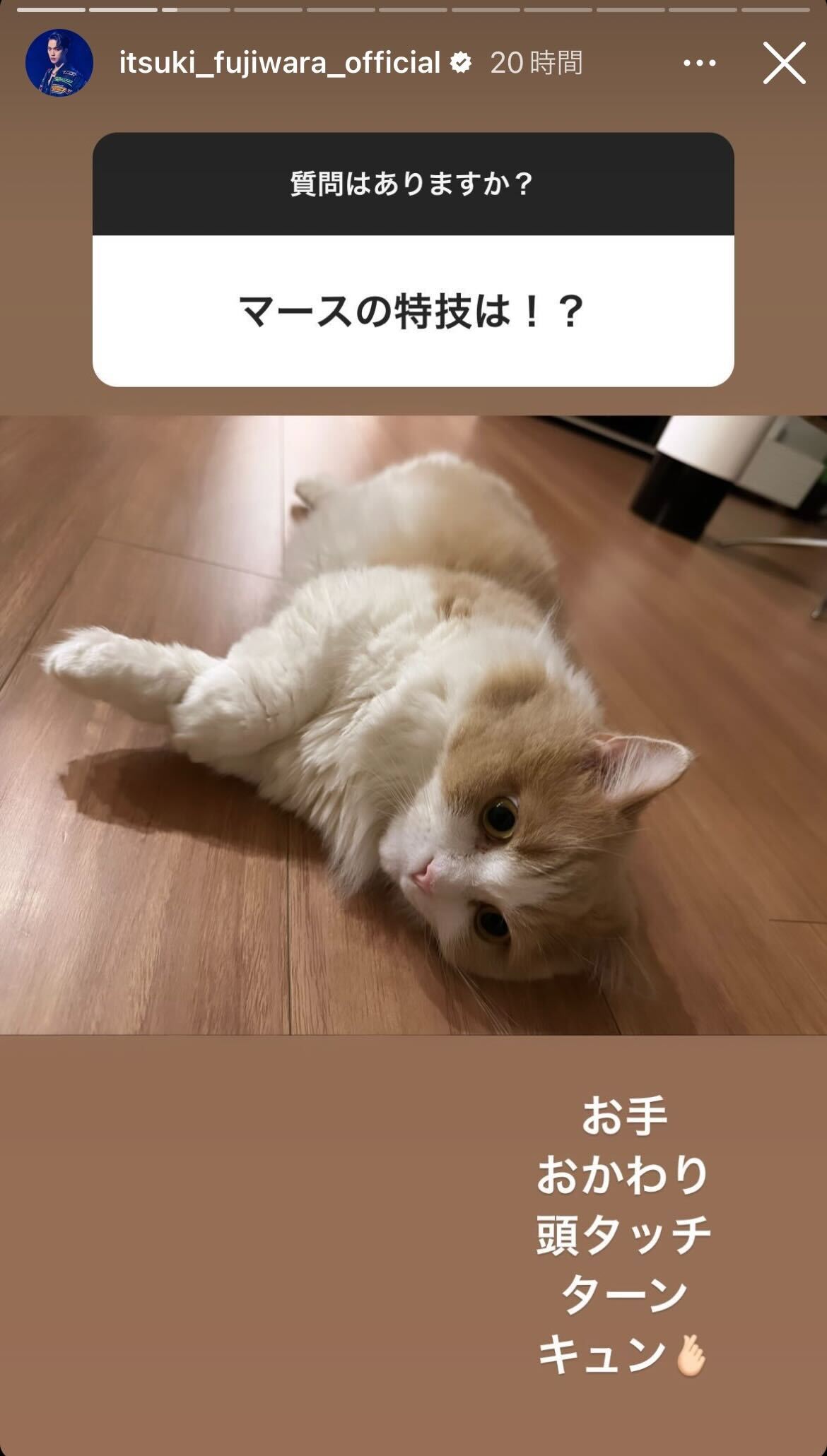 藤原樹Instagramストーリーズより