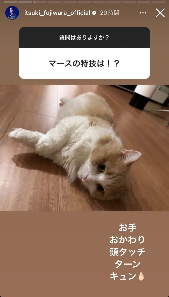 藤原樹Instagramストーリーズより