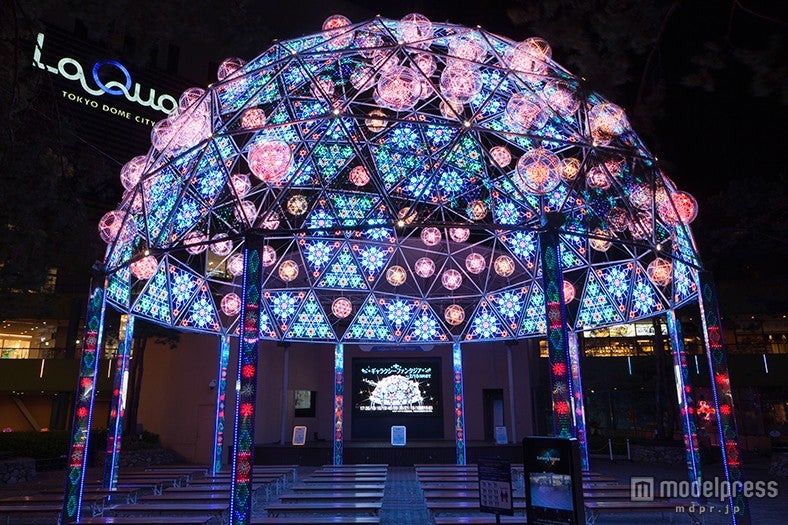 光の散歩道が東京をライトアップ 過去最大規模のスケールで開催