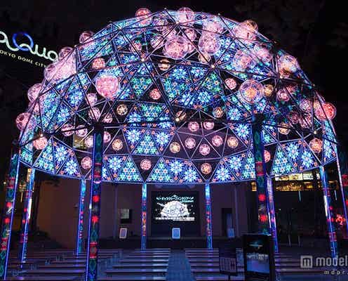 光の散歩道が東京をライトアップ 過去最大規模のスケールで開催