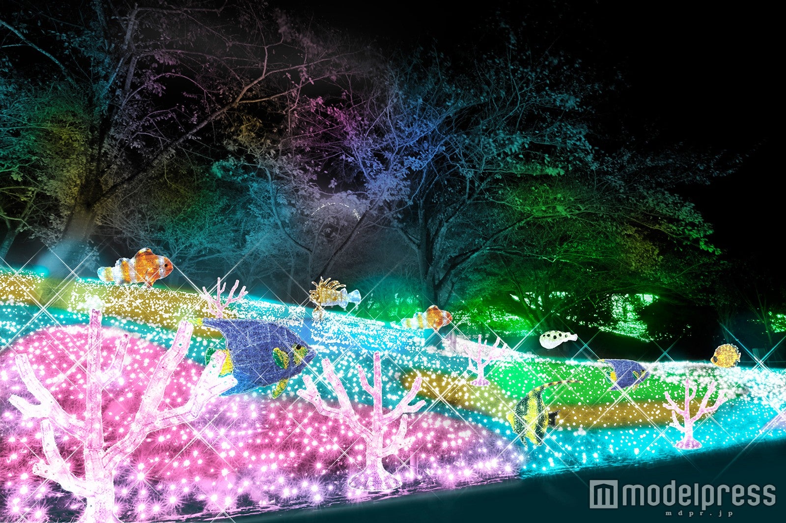 光の海／画像提供：富士急行