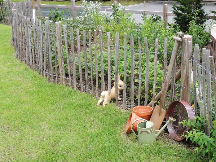 あら、柵をくぐって逃げようとしているのは……