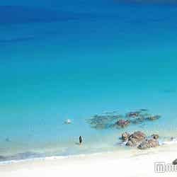 静岡のきれいなおすすめビーチ5選/外浦海水浴場/写真提供:静岡県観光協会