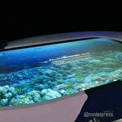 ポルトガル館(C)モデルプレス