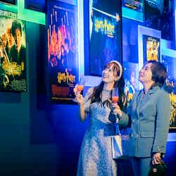 ワーナー ブラザース スタジオツアー東京 - メイキング・オブ・ハリー・ポッター/提供画像