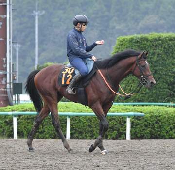 【新馬戦】アインザッツ 将来性秘める良血馬 宮田師「すごくスタイリッシュ」姉にG1馬ブレイディヴェーグ