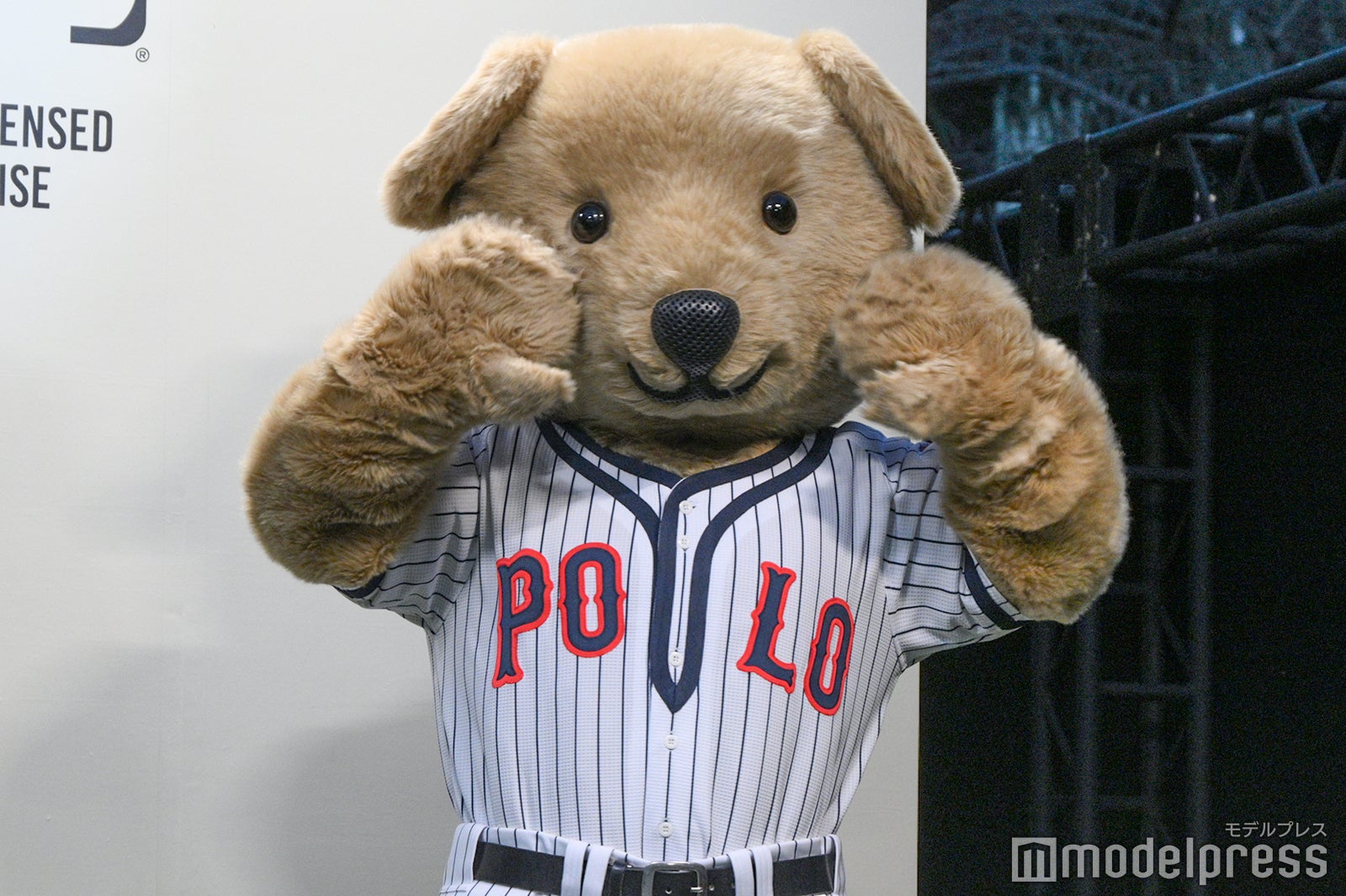 Poloベア（C）モデルプレス