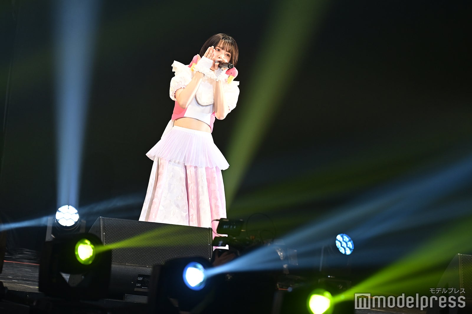 豆柴の大群（C）モデルプレス