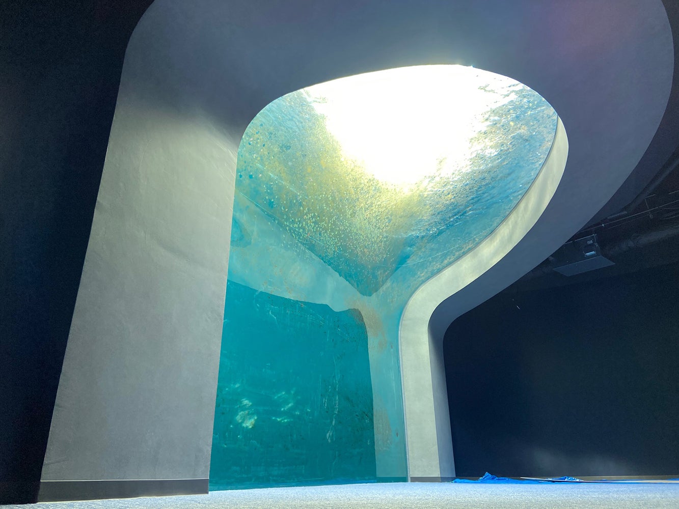 渦潮の景／画像提供：四国水族館開発