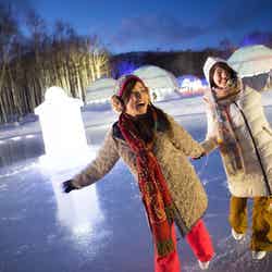 アイスリンク/画像提供:星野リゾート