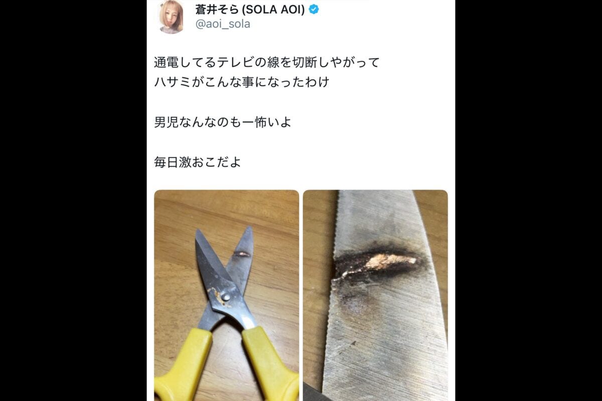 蒼井そらX