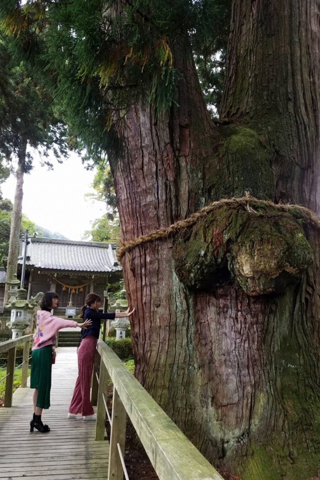 （左から）玉城ティナ、八木アリサ（C）TBS