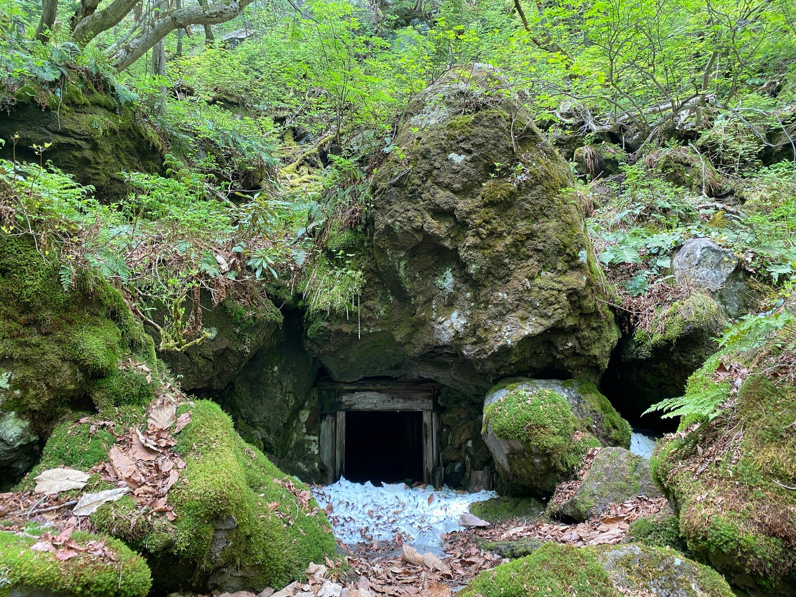 ハイキング（C）草津温泉観光協会