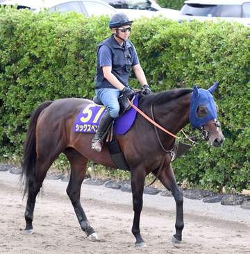【安田記念】シックスペンス 悲願のG1初制覇へ データ唯一の全項目クリアで復活の一撃に期待高まる