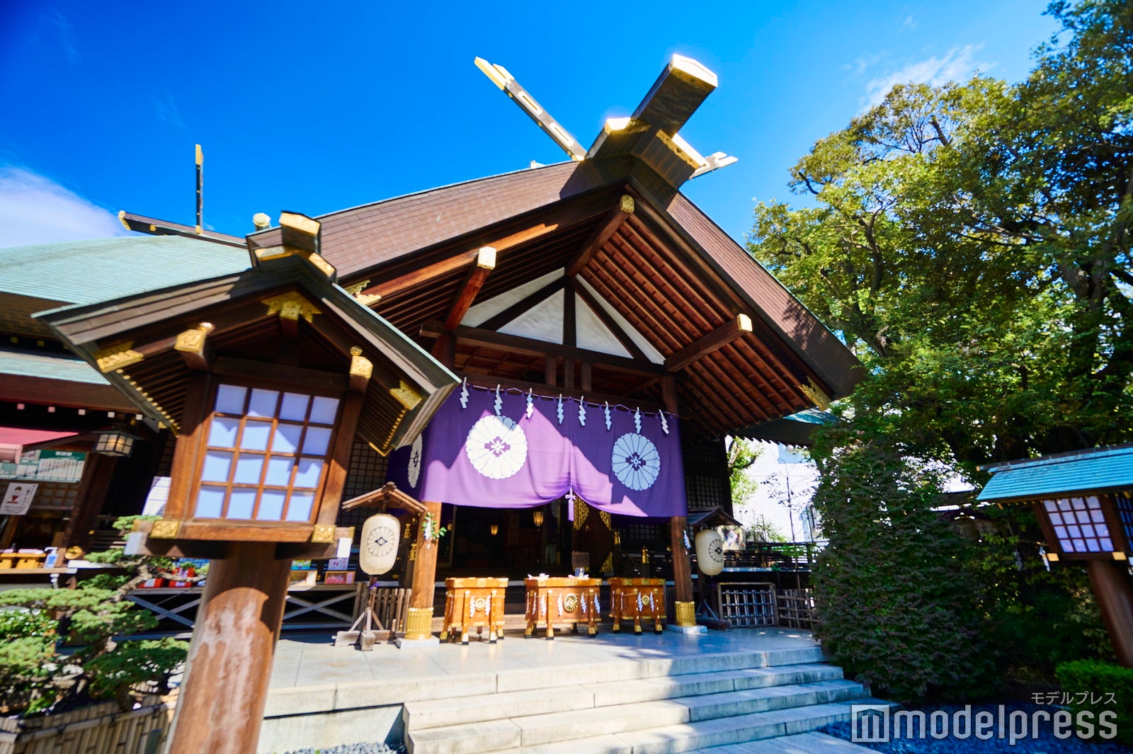 東京大神宮（C）モデルプレス