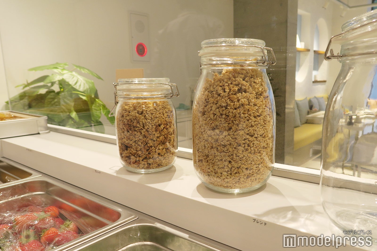 & Yogurt（C）モデルプレス