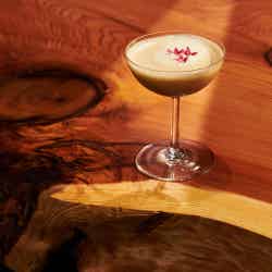 アートアクアリウム美術館/画像提供:アートアクアリウム製作委員会