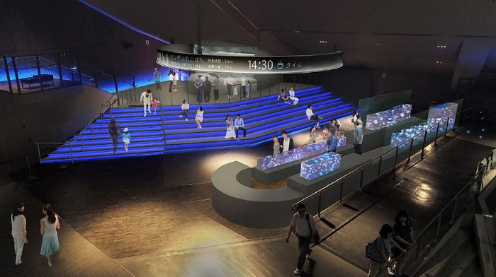 オープンスペースの全景／画像提供：すみだ水族館 