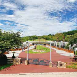 イーストウィンズビレッジ/提供画像