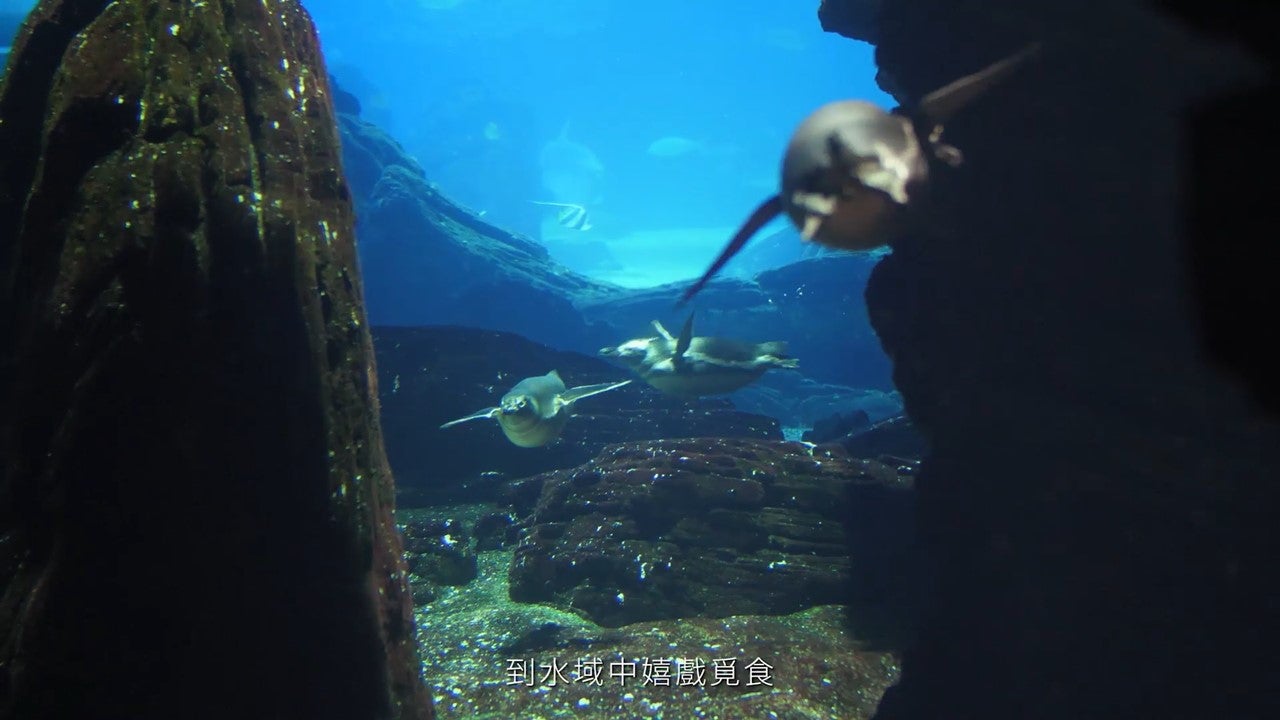 Xparkイメージ／画像提供：横浜八景島