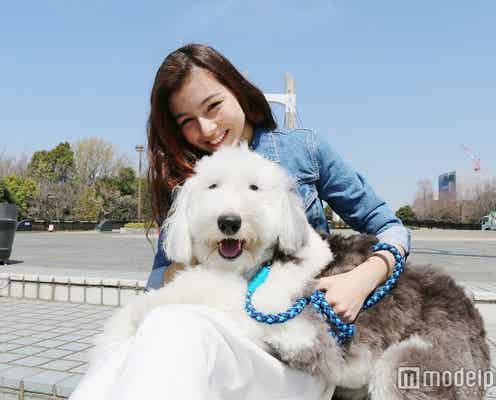 「ZIP!」新旅人に20歳のハーフ美女就任「日本の朝にHAPPYを」