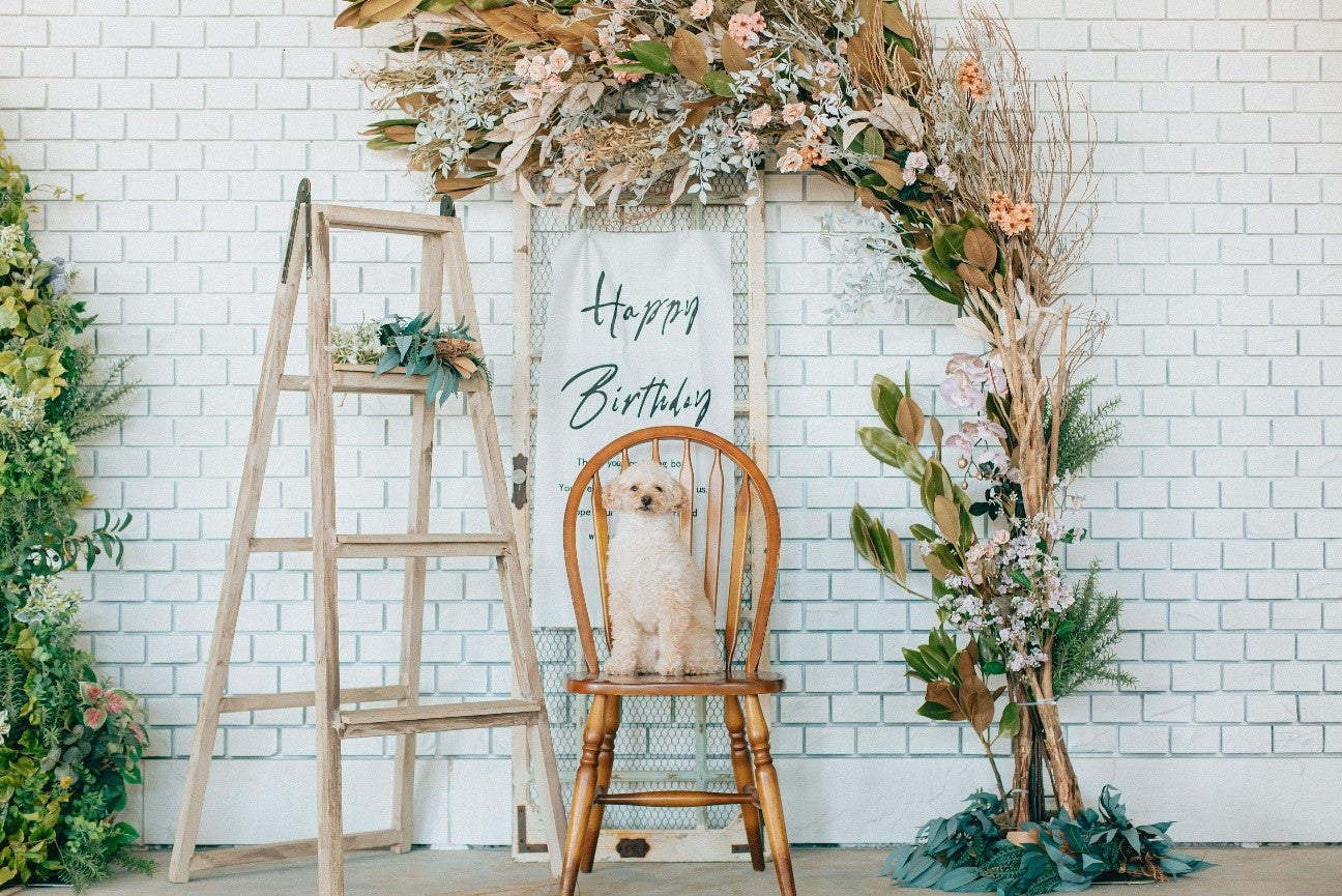 KAREN 浜名湖 with Dog／提供画像