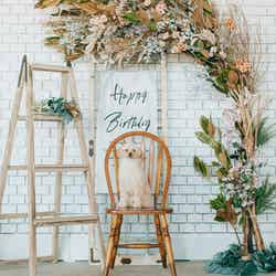 KAREN 浜名湖 with Dog/提供画像