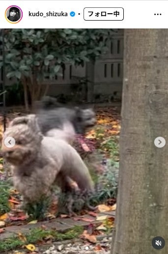 工藤静香Instagramより