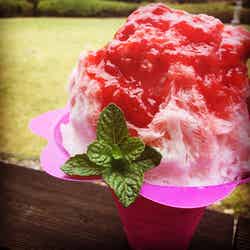 「マクハリ的粋祭り2017」が初開催 厳選グルメ&地酒と真夏のイルミ楽しむ夏祭り/画像提供:株式会社幕張メッセ