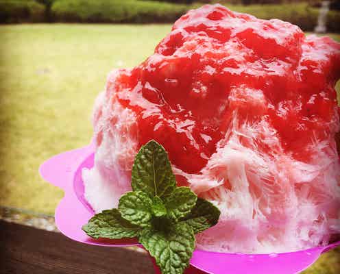 「マクハリ的粋祭り2017」が初開催 厳選グルメ&地酒と真夏のイルミ楽しむ夏祭り