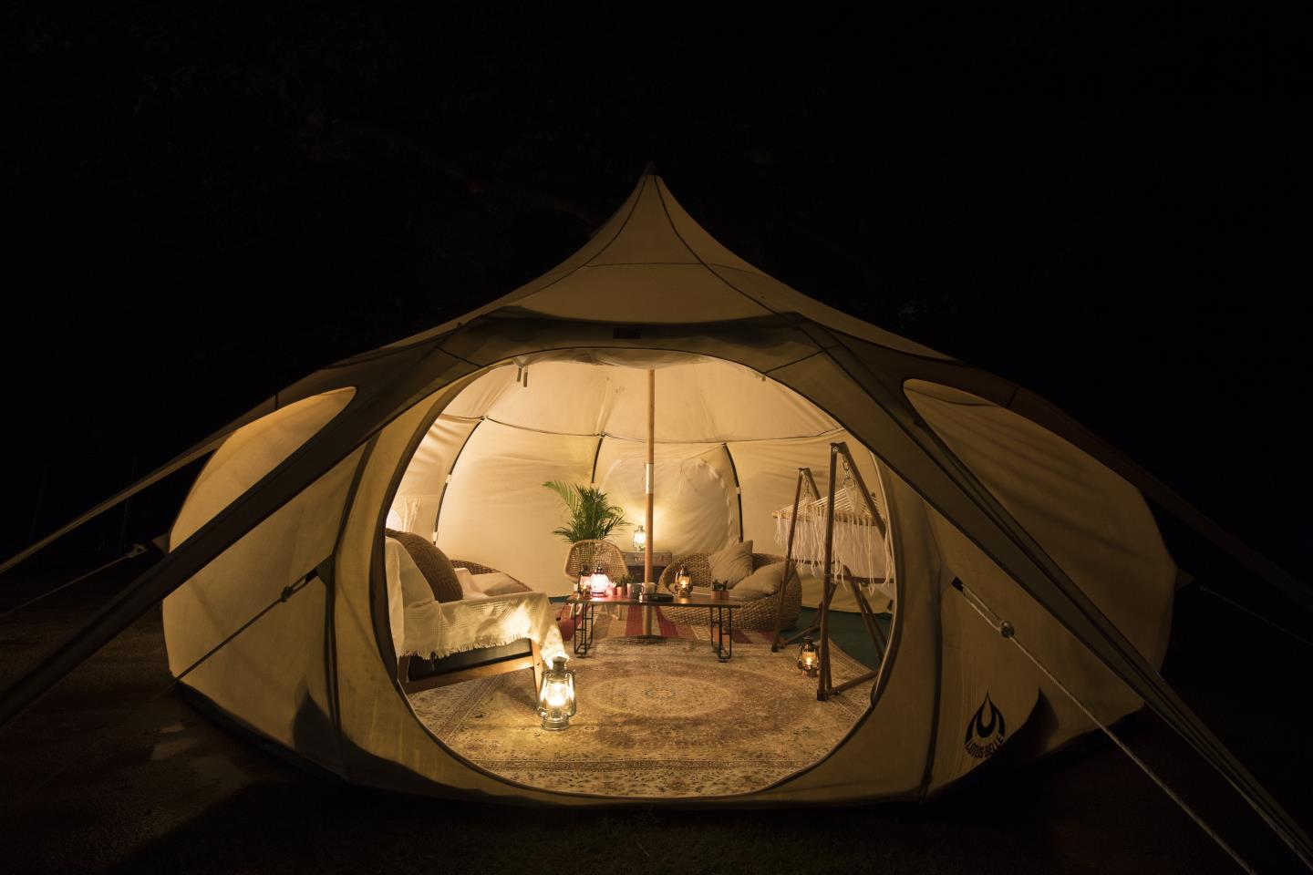 グランピングしながら夜空を見上げればガールズトークに花が咲きますね （提供写真）