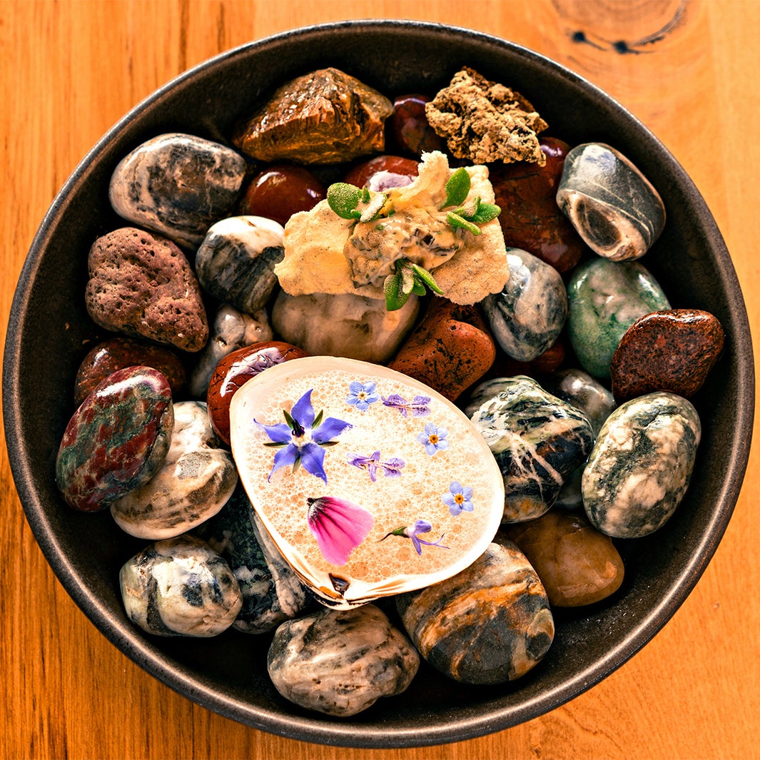 ルーツ（C）Roots