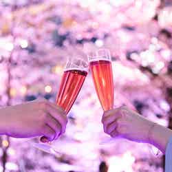 都心ならではのお花見体験/画像提供:東京ミッドタウンマネジメント