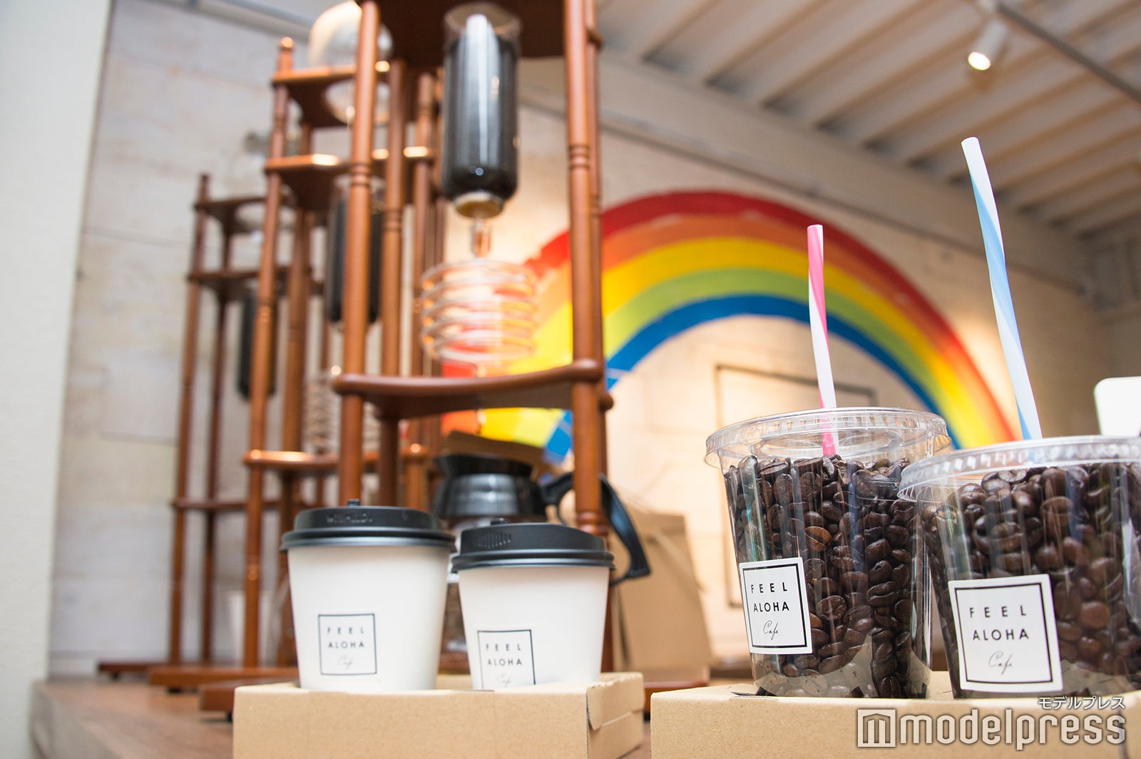 （C）モデルプレス