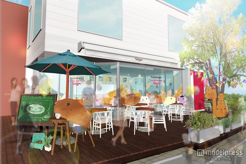 カピバラさんづくしのキュートなお店（※写真はイメージ）