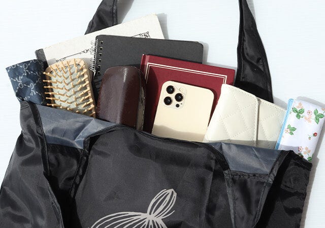 宝島社　雑誌　ムック本　付録　MOOMIN