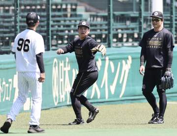 阪神・嶋村が1軍に合流 直近のファームでは広島栗林から一発を放つ