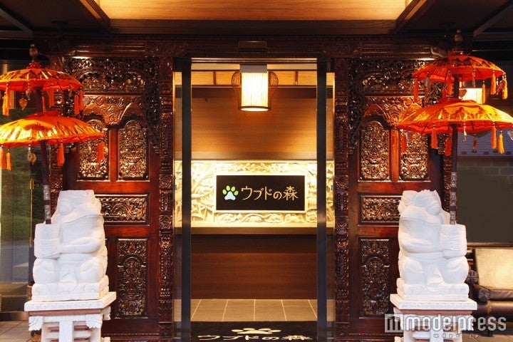 リゾートホテル「ウブドの森」／画像提供：ニュートン